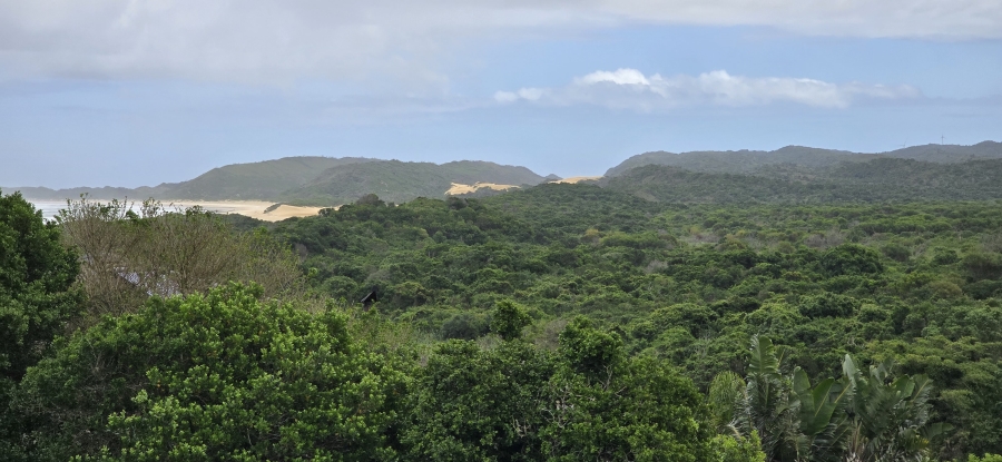 0 Bedroom Property for Sale in Oyster Bay Eastern Cape